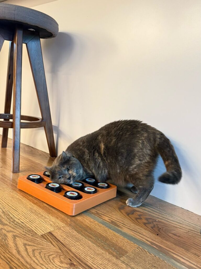 trusted house sitter experience