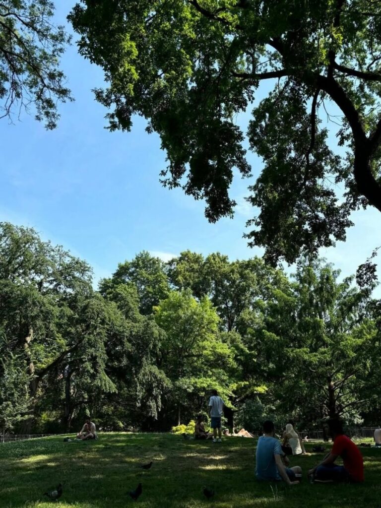 tompkins square park best park in east village new york city