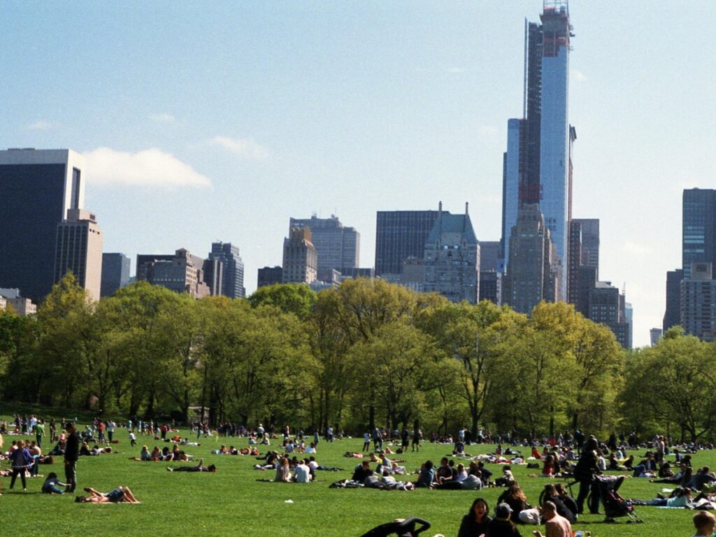 unique NYC picnic experiences