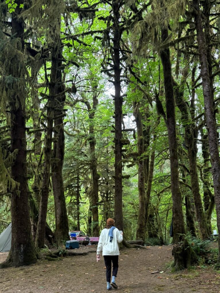 camping without reservations