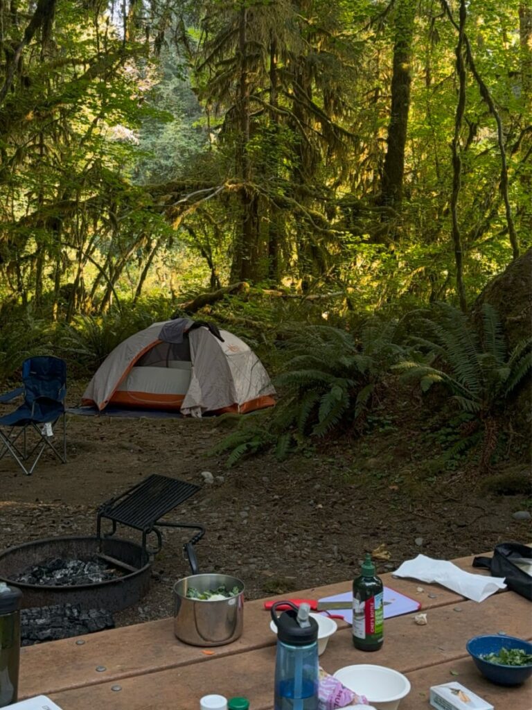car camping setup ideas