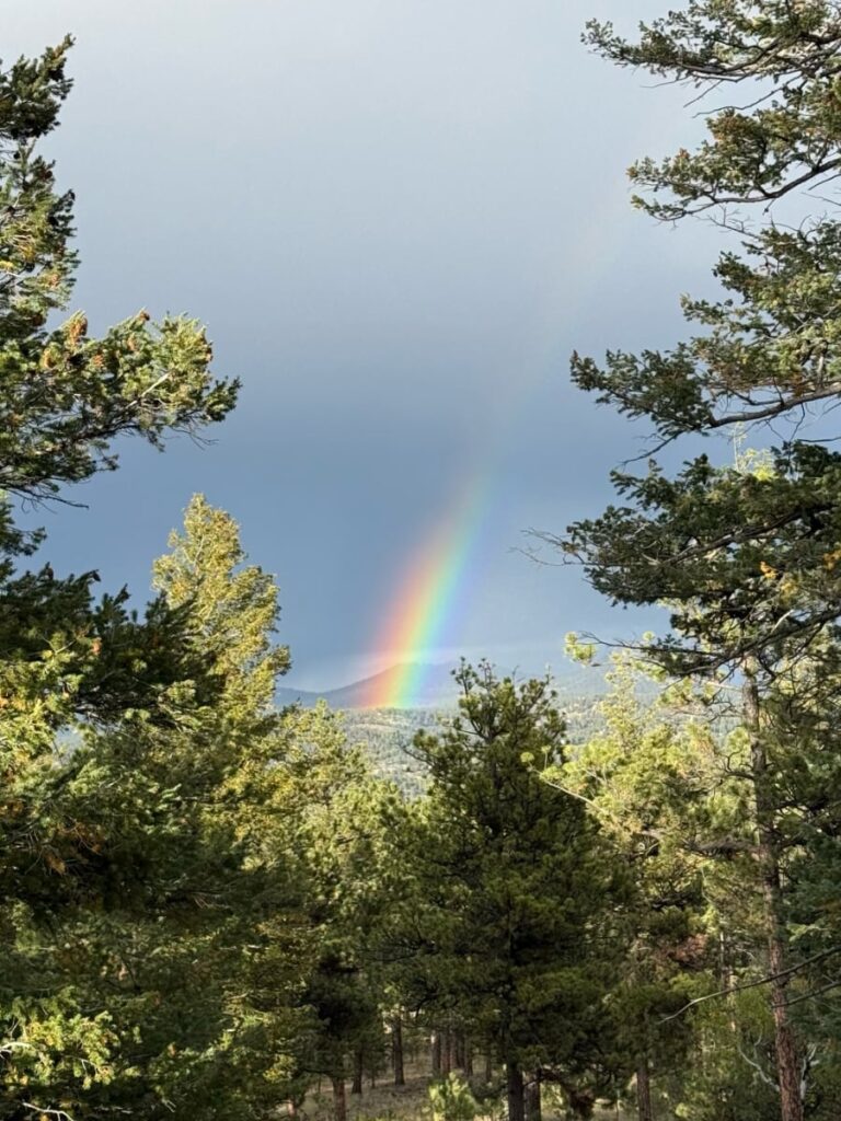 dispersed camping in Colorado