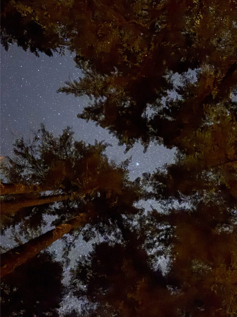 dispersed camping ideas