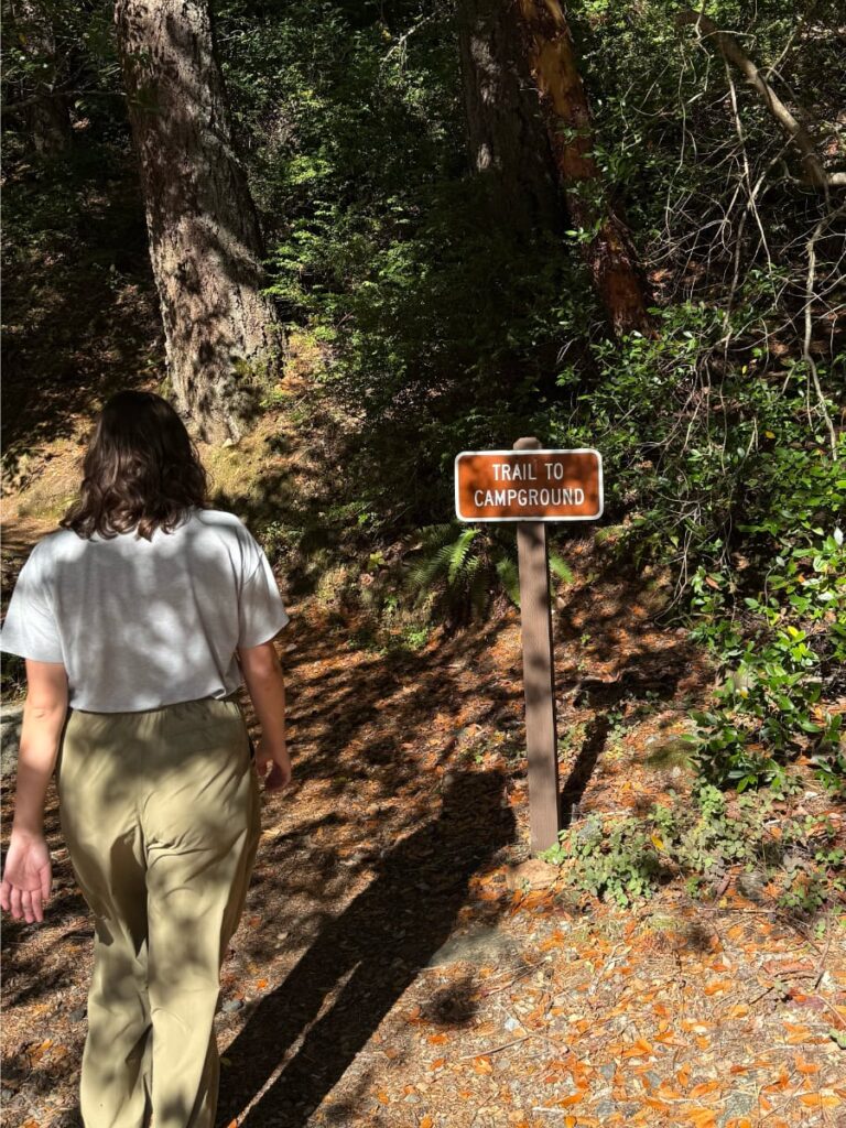 explore America by car