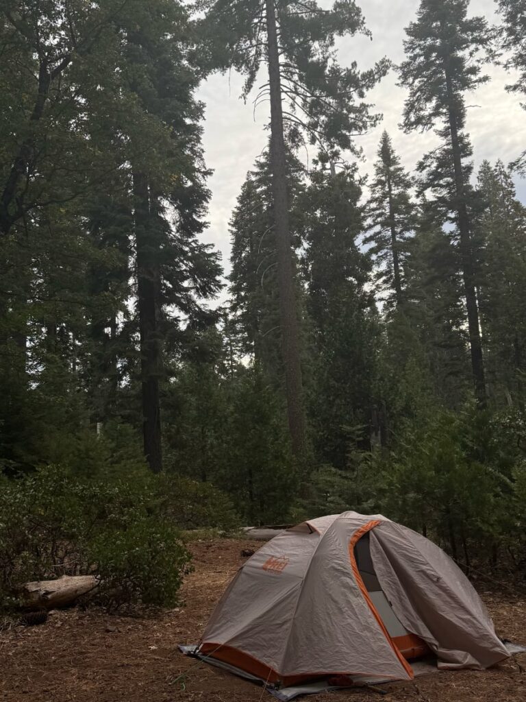 free camping in yosemite