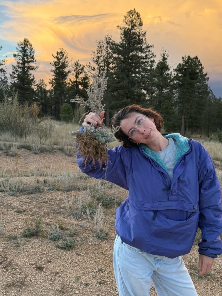 how to find dispersed camping