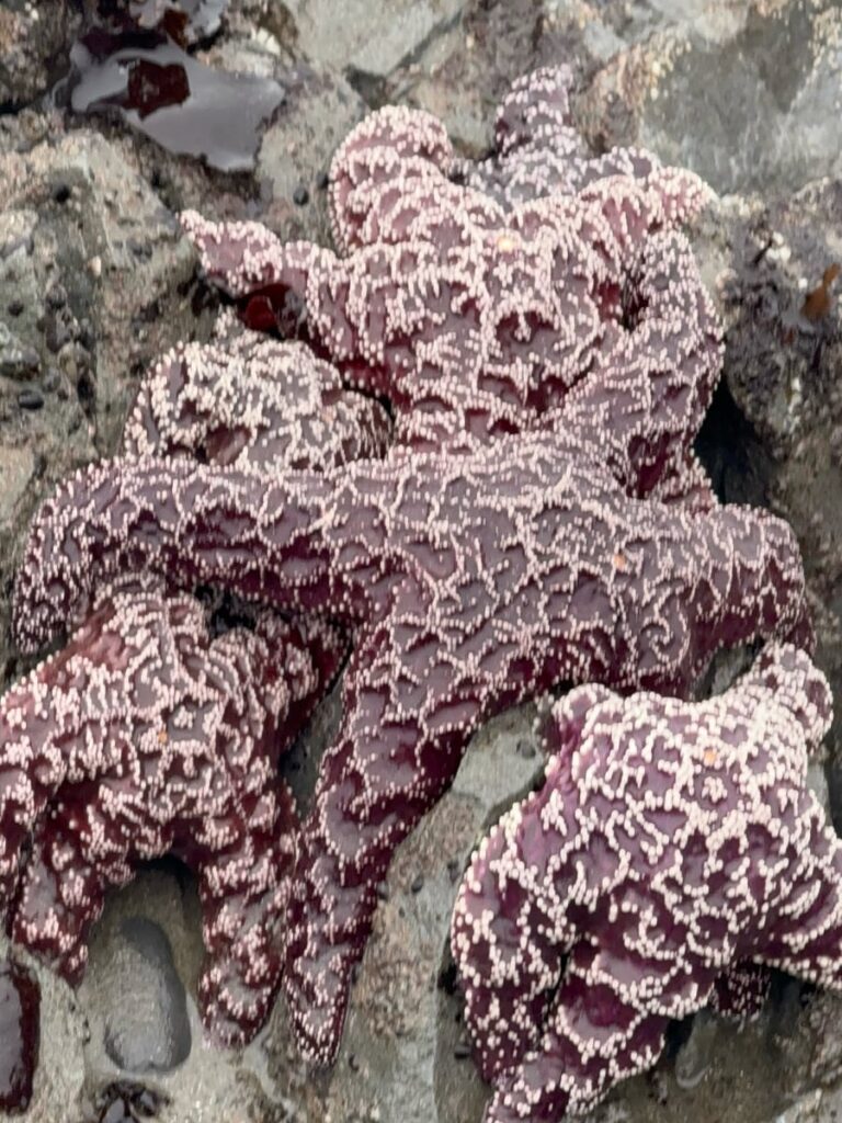 national park road trip