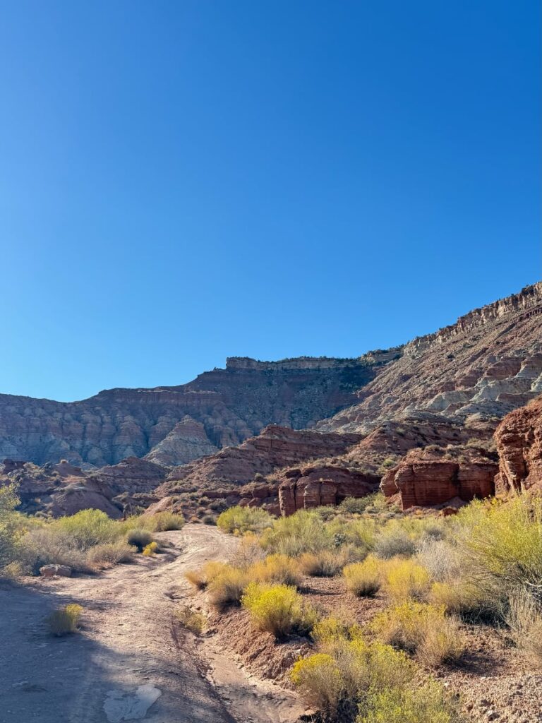 peaceful morning at the campsite