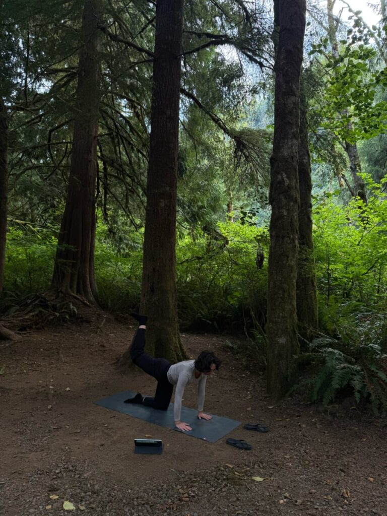 road trip car camping essentials