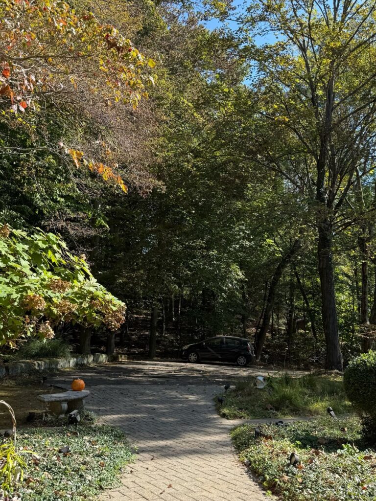 scenic drive and camping spots