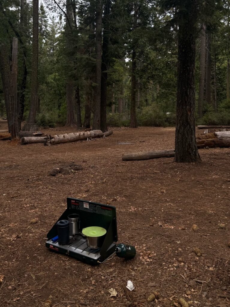 scenic road trip views