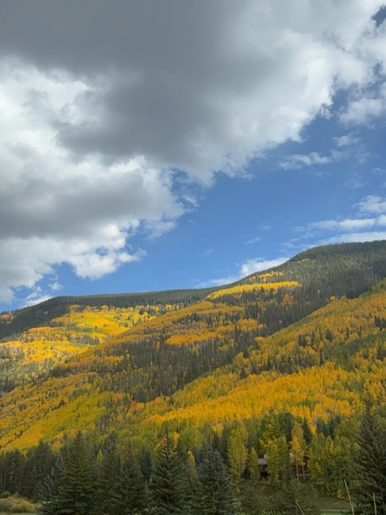 scenic roadtrip across america