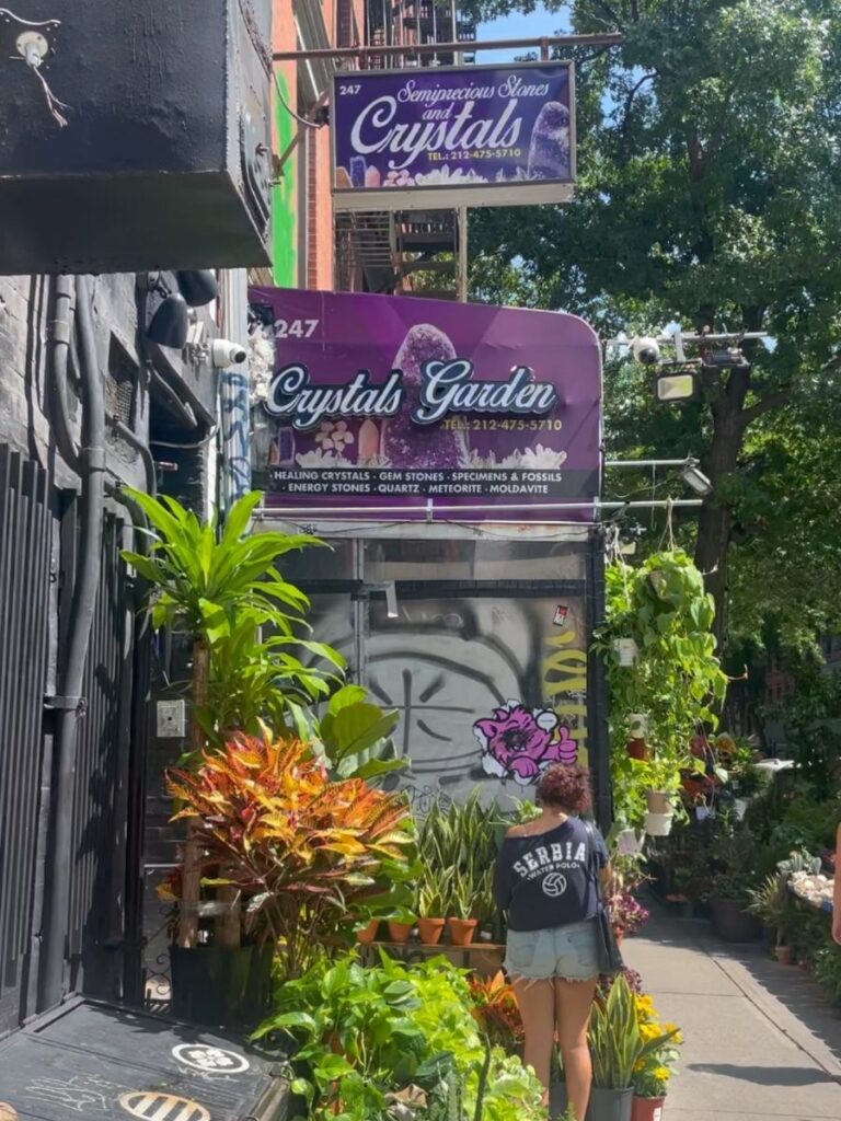 crystal and plant shopping in east village