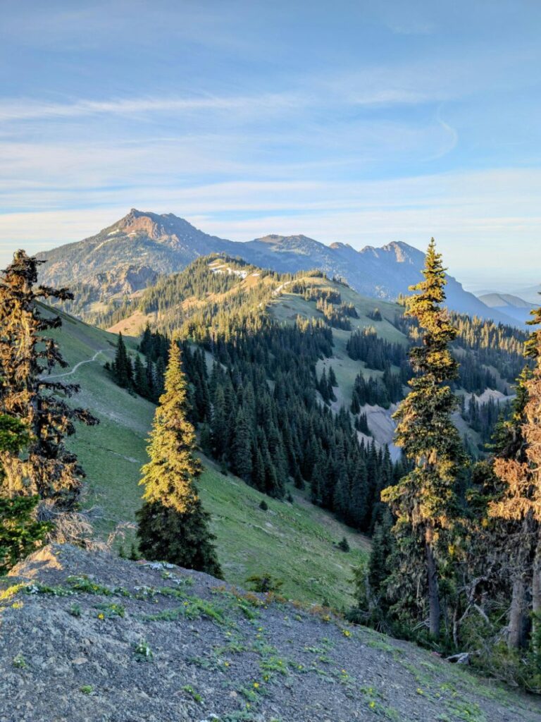 hurricane ridge washington