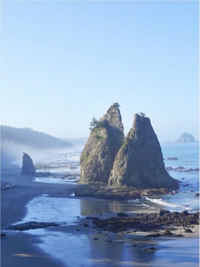 Olympic National Park Guide | Everything You Need to Know Before You Go