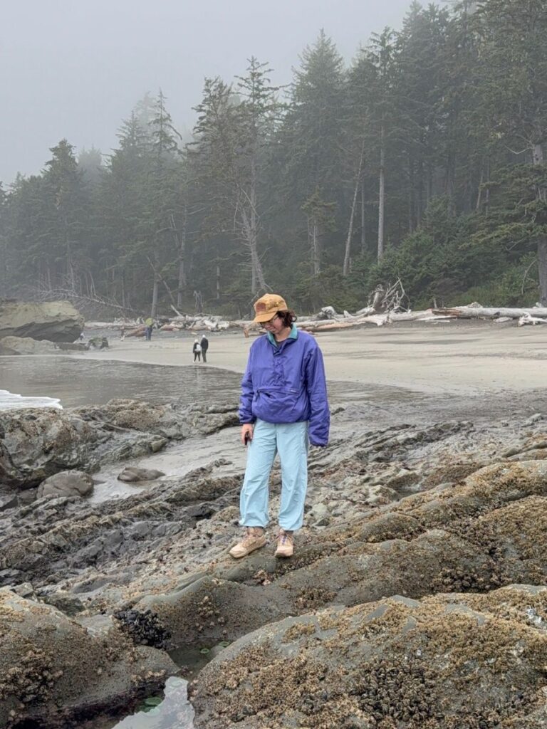 rialto beach rocks and trees in olympic national park