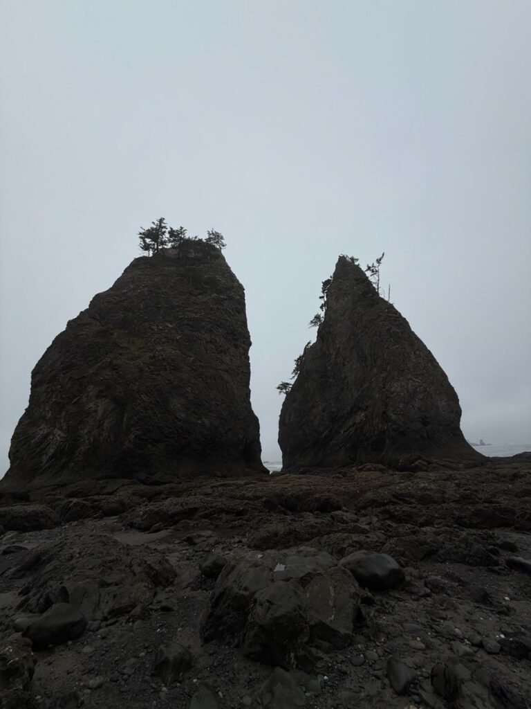 rialto beach sea stacks
