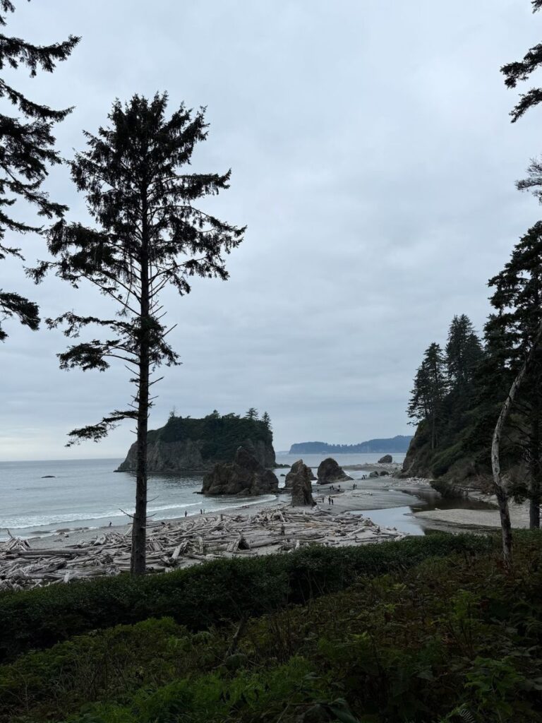 ruby beach in olympic national park