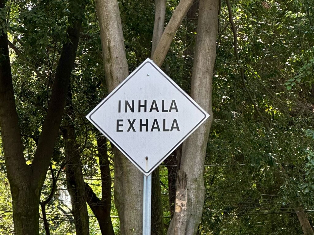 Part of the 7-day life reset that focuses on recovering from burnout by rebalancing the nervous system.