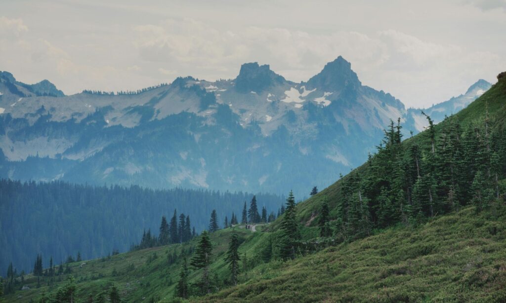 olympic national park mountain views