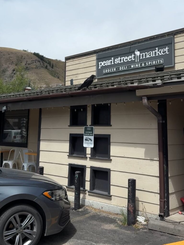 lunch in jacksonville while visiting Grand Teton national park