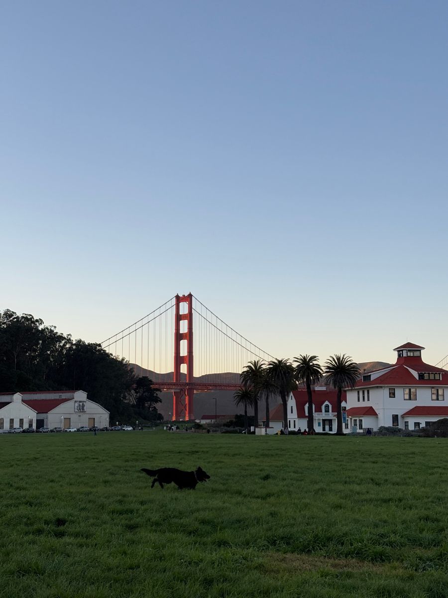 50+ Things To Do in San Francisco: A Slow and Local Guide