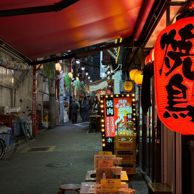 cultural and vibrant city of tokyo