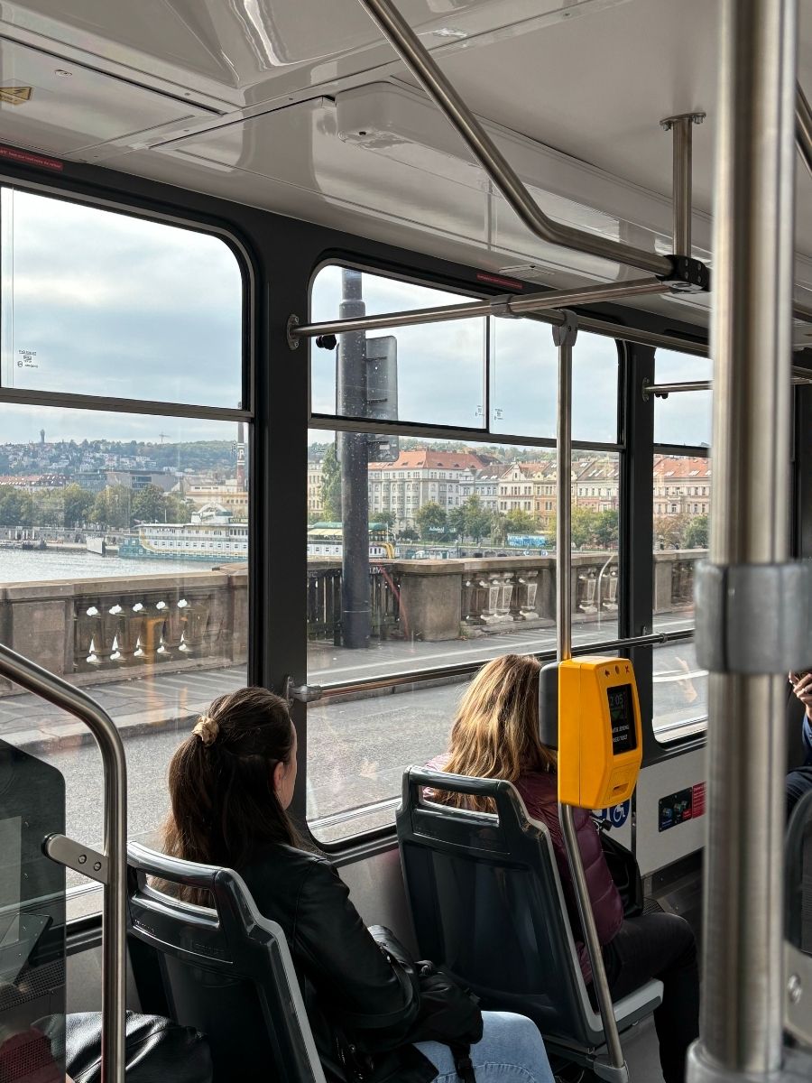 public transportation while traveling