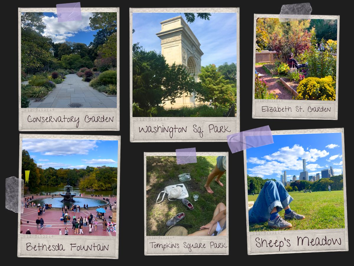 parks in new york city