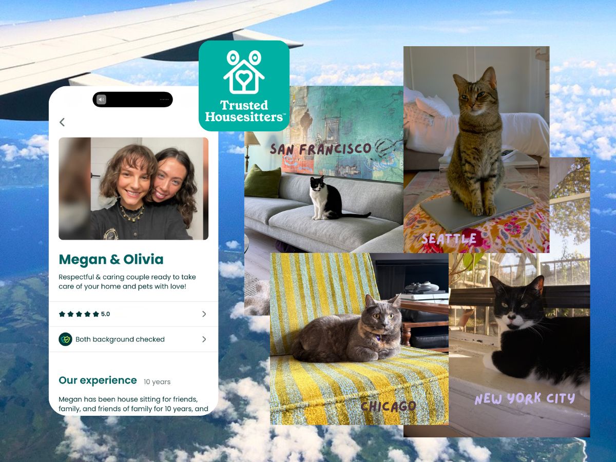 Learn how to create the best housesitting profile and how to travel full time for free.