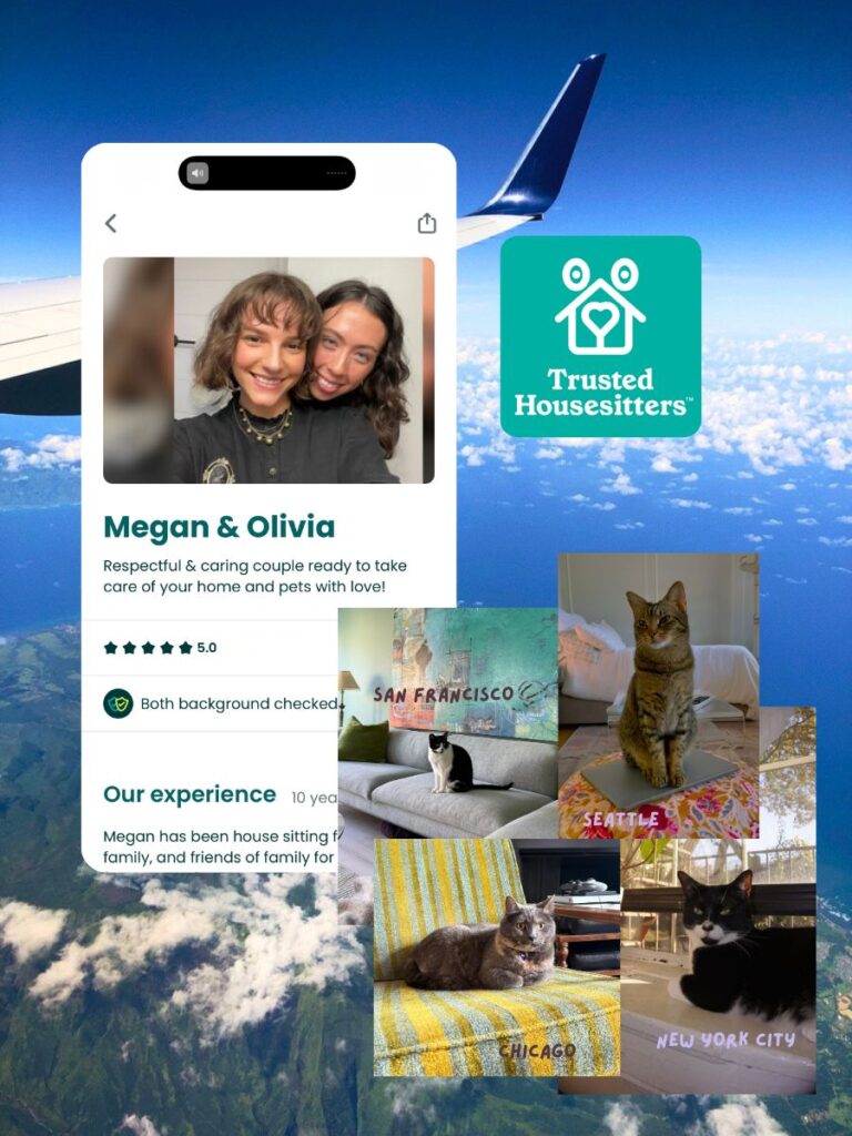 creating a trustedhousesitters profile