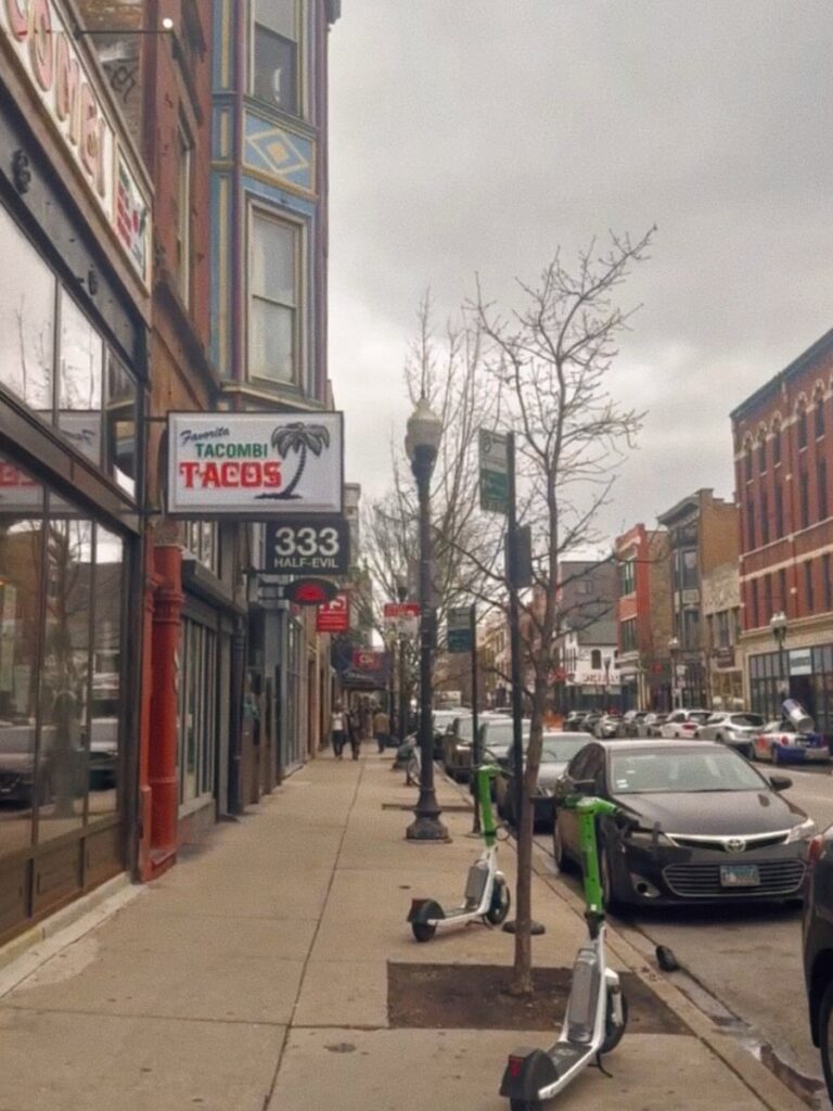 best area for shopping is wicker park in chicago for 36 hours
