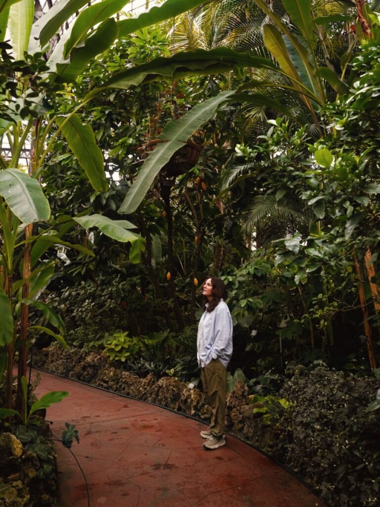 inside the lincoln park conservatory during a rainy day in chicago