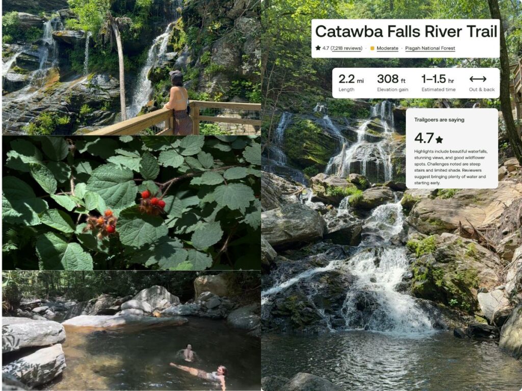 day trips in asheville nc