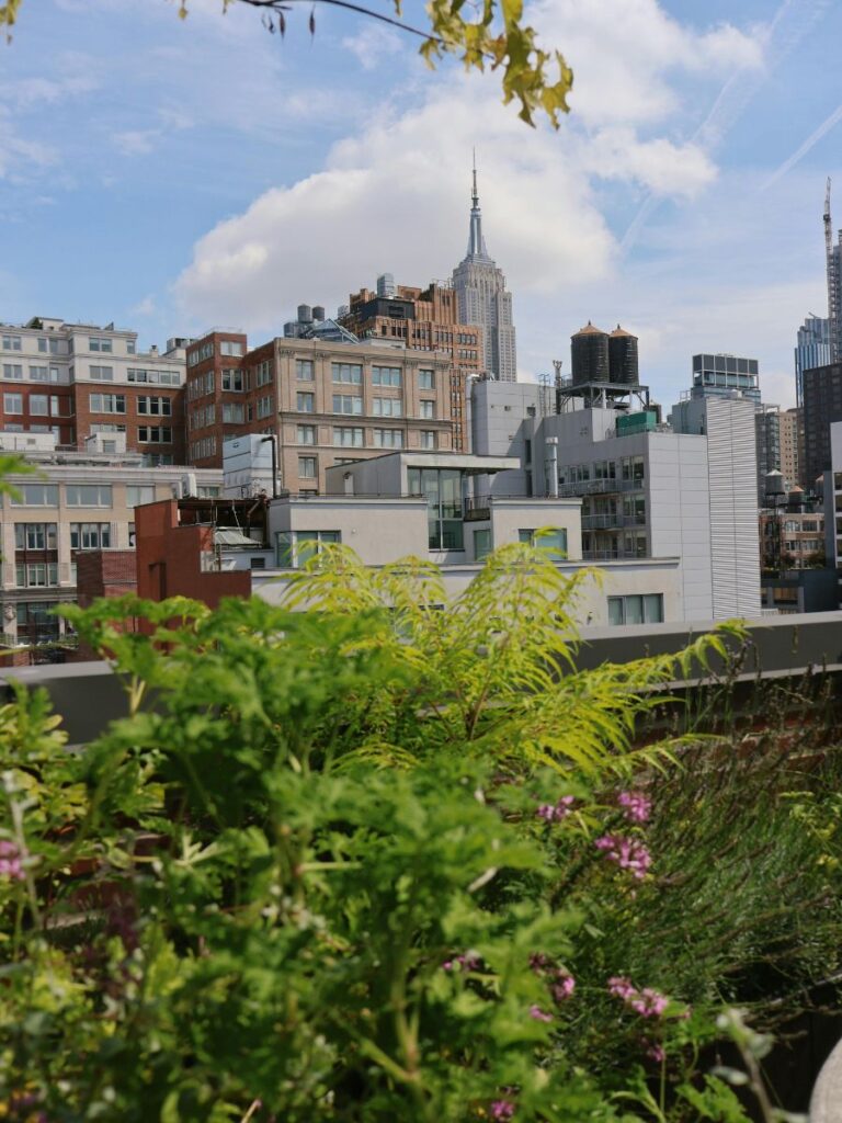 high line in chelsea nyc
