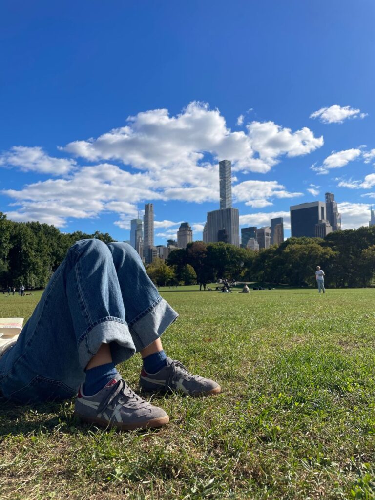 sheeps meadow nyc