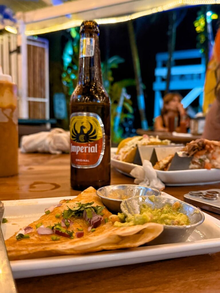 tasty wave puerto viejo cantina, birria tacos