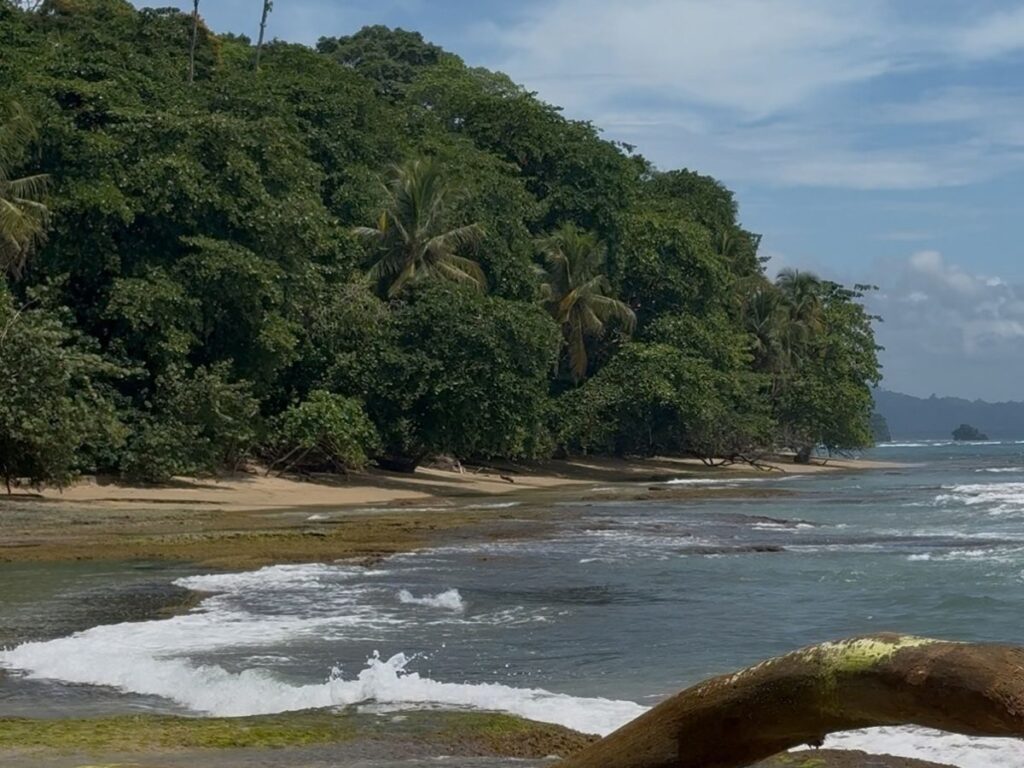 beach on the Caribbean coast near Puerto Viejo, Costa Rica