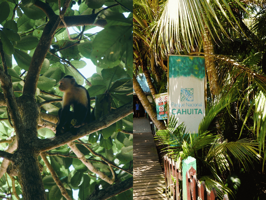 wildlife and cahuita national park entrance