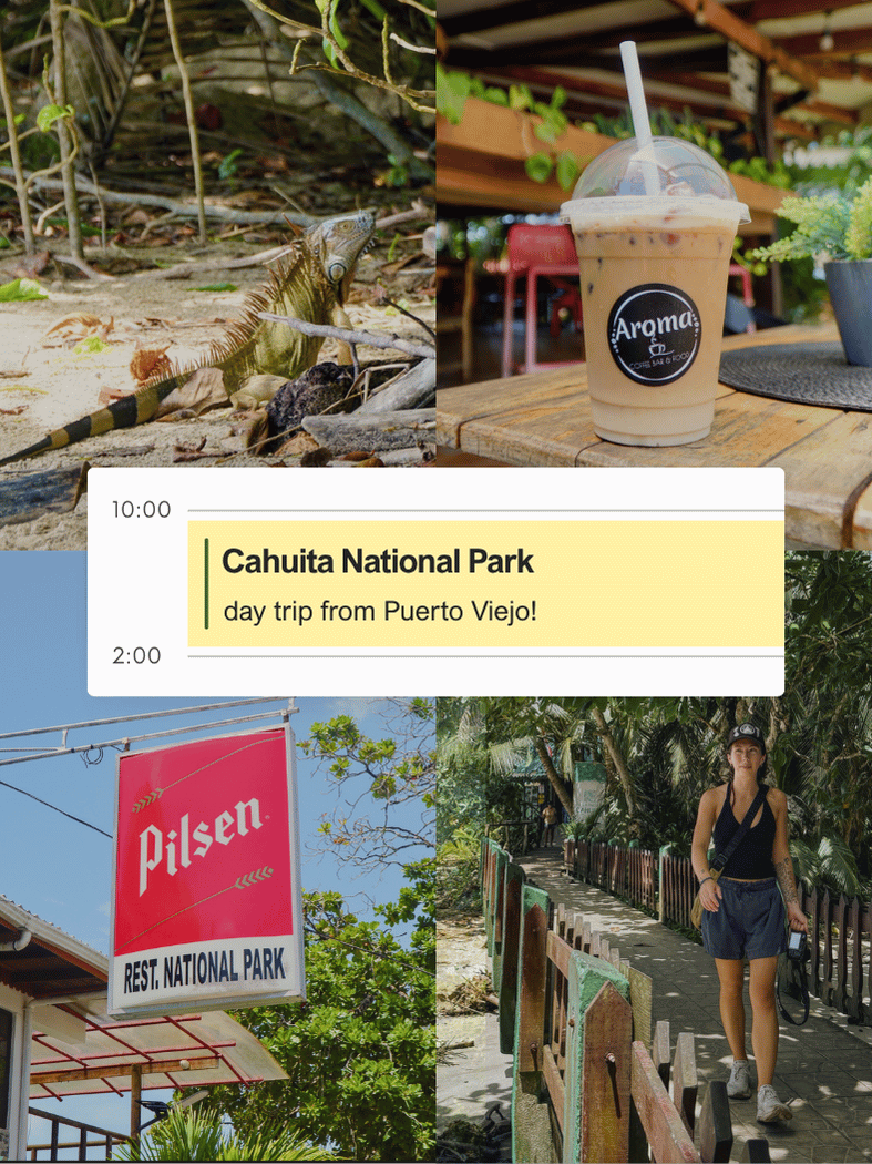 Cahuita National Park From Puerto Viejo: Our Favorite Day Trip