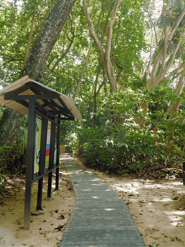 cahuita national park trail