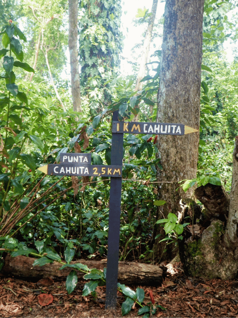 cahuita national park guide