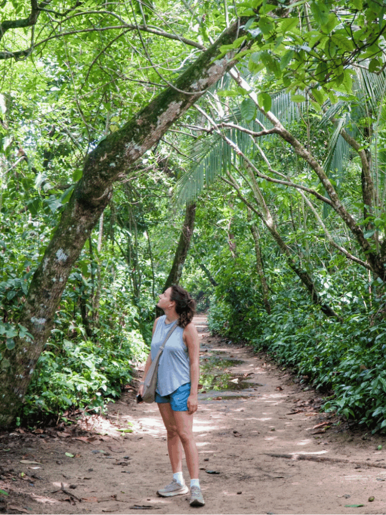 cahuita national park tour