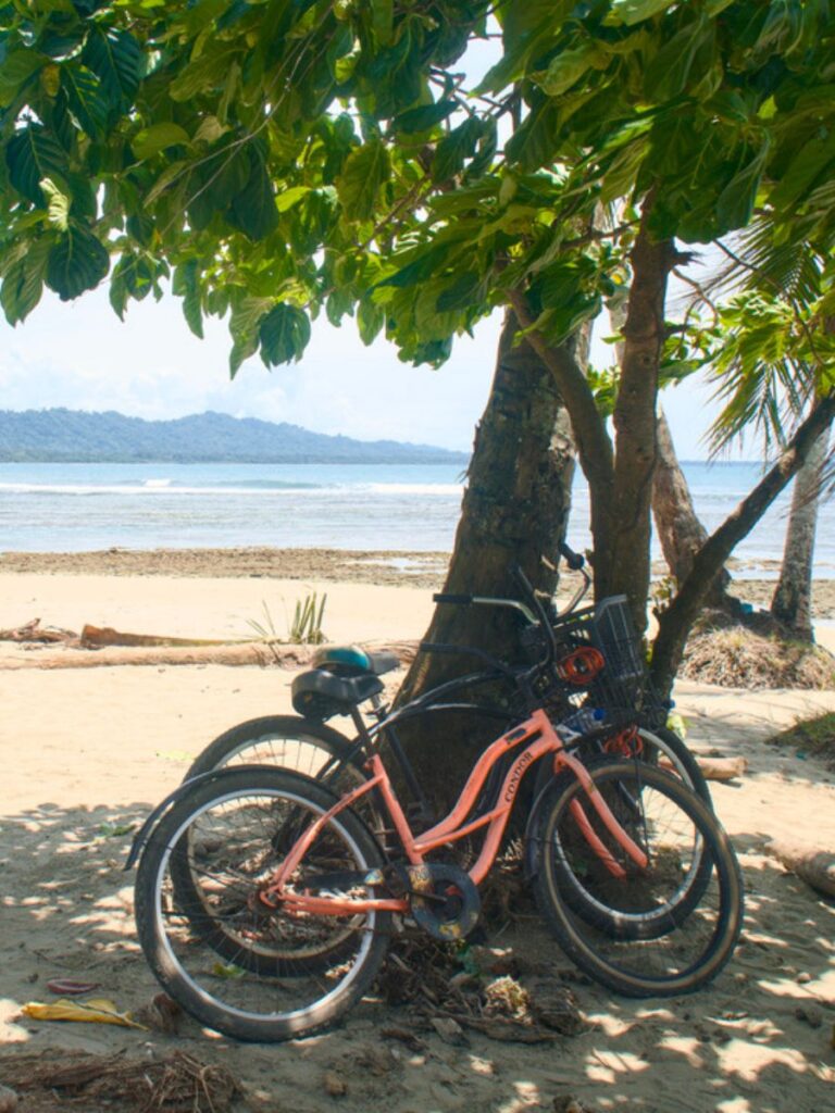 bikes parked under a tree on the sand at Playa Chino in Puerto Viejo