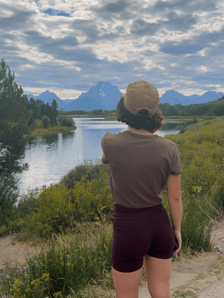 the view from schwabacher landing