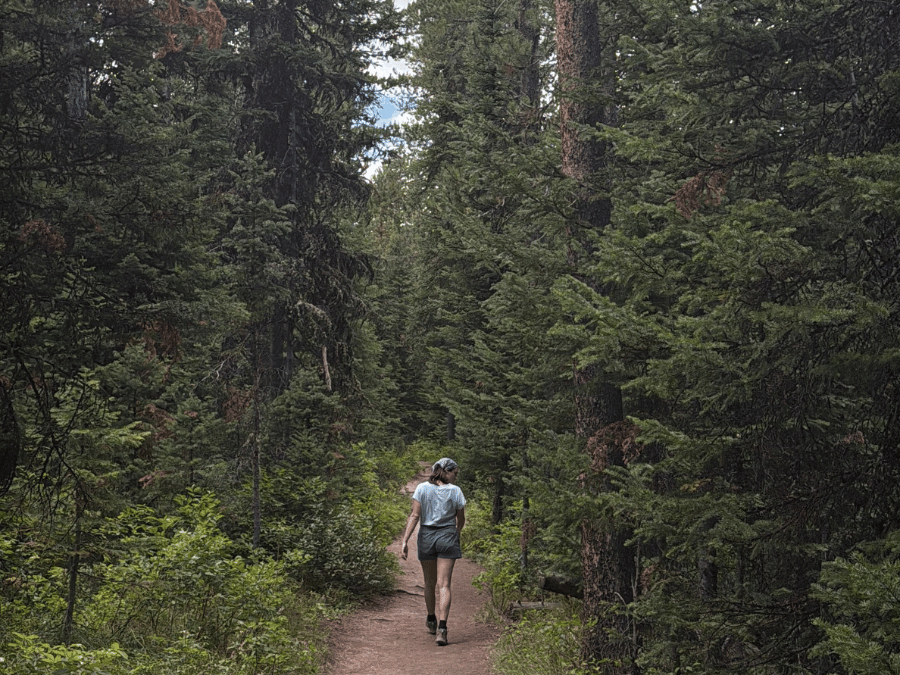 hiking on the trail to colter bay in grand teton national park