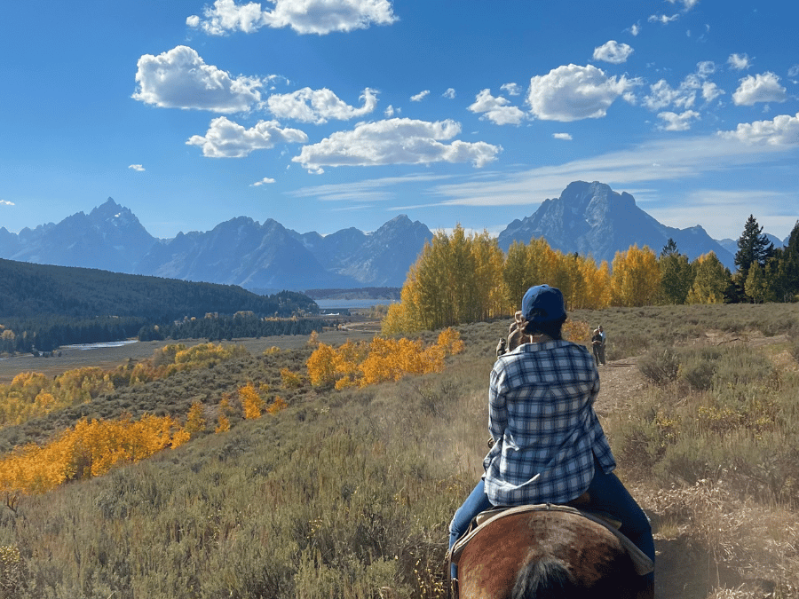 the view from a horseback riding tour in the grand tetons