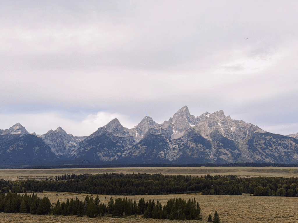 a scenic view from a turnout in grand teton national park